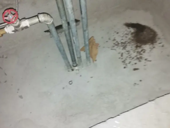 武安卫生间测漏水价格明细